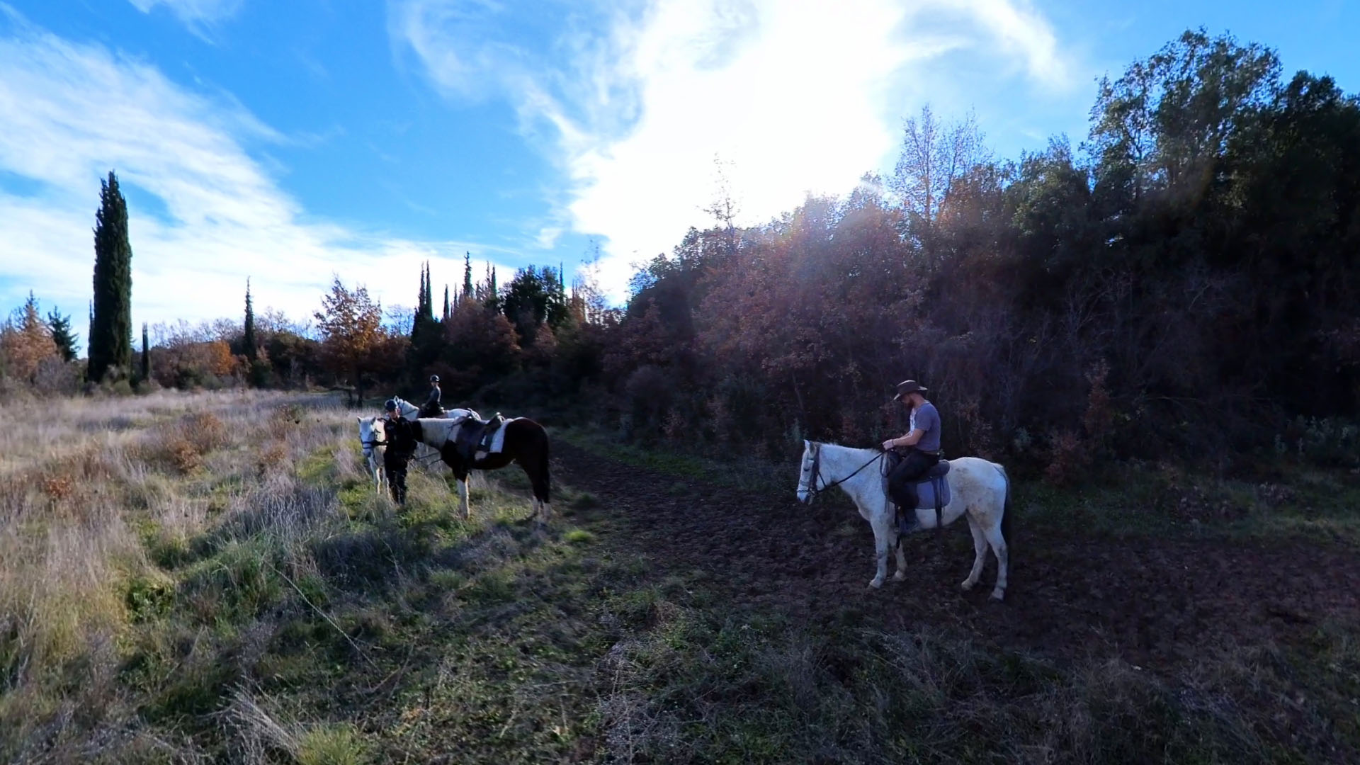 Κέντρο Ελεύθερης Ιππασίας