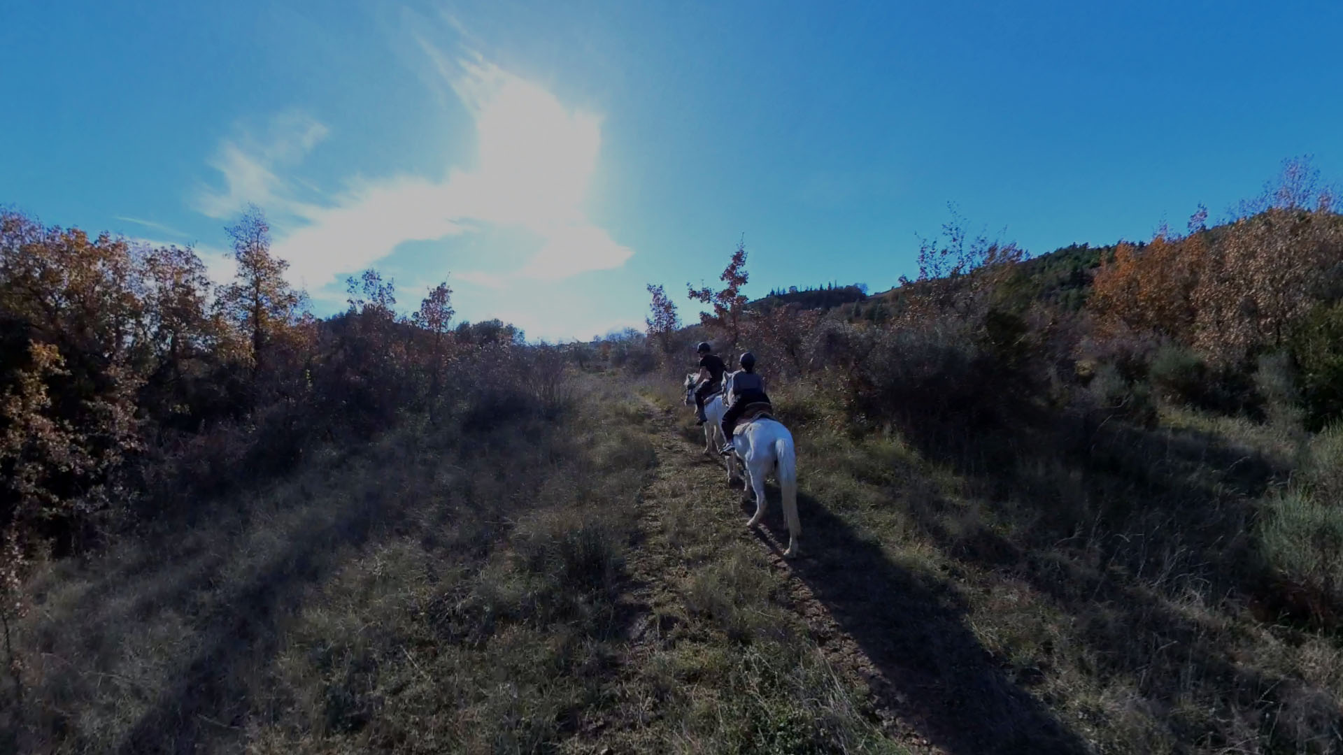 Ιππασία στα Τρίκαλα Κορινθίας